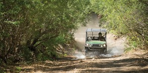 1115News-Kawi1-610x300-298x147