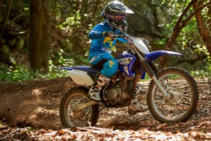 2016 Yamaha TTR125 LE1